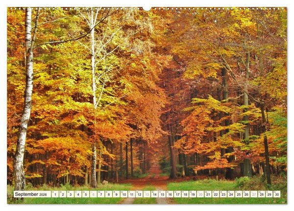 Produktbild: Rotenburg - Die bunte Stadt an der W&uuml;mme (hochwertiger Premium Wandkalender 2026 DIN A2 quer), Kunstdruck in Hochglanz