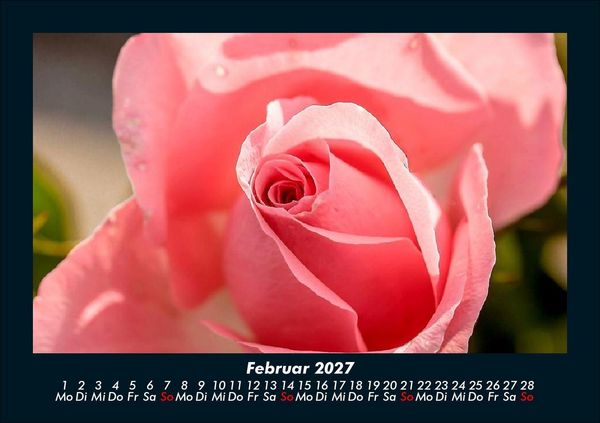 Produktbild: Blumentr&auml;ume 2027 Fotokalender DIN A5