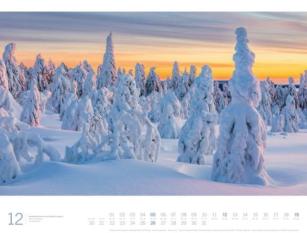 Produktbild: Wald Gallery Kalender 2027