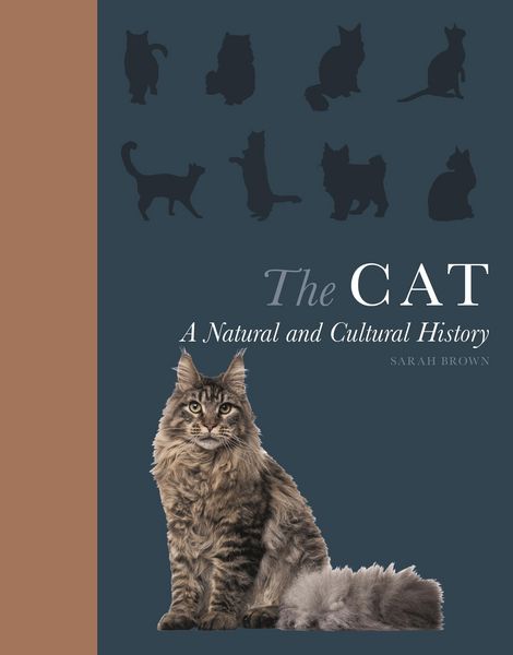 Produktbild: The Cat