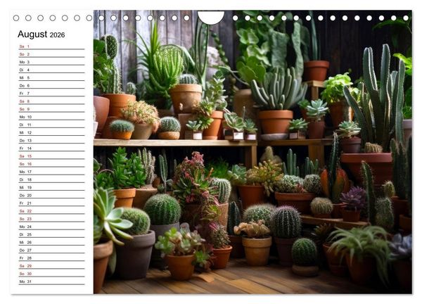 Produktbild: Kaktuszauberland (Wandkalender 2026 DIN A4 quer), CALVENDO Monatskalender