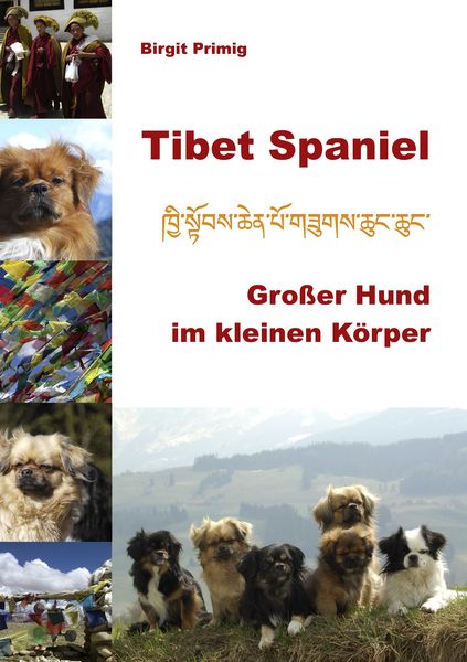 Produktbild: Tibet Spaniel