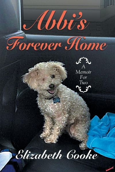 Produktbild: Abbi'S Forever Home