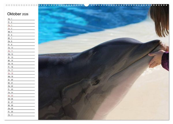 Produktbild: Delfine - L&auml;chelnde Intelligenz (hochwertiger Premium Wandkalender 2026 DIN A2 quer), Kunstdruck in Hochglanz