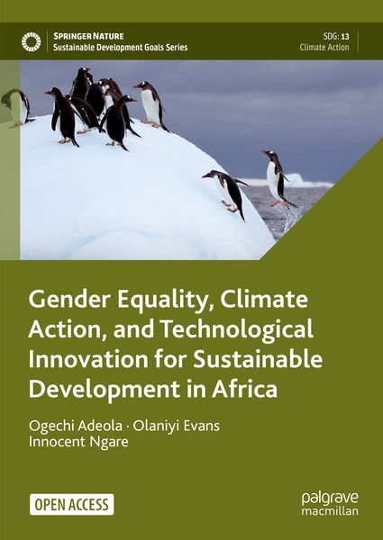 Produktbild: Gender Equality, Climate Action, and Technological Innovation for Sustainable Development in Africa