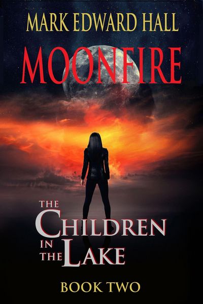 Produktbild: Moonfire (Children in the Lake, #2)