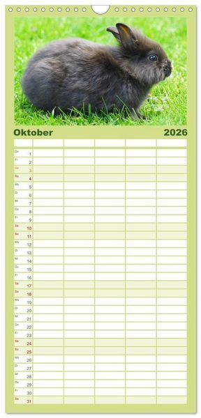 Produktbild: Familienplaner 2026 - Liebenswerte Zwergkaninchen mit 5 Spalten (Wandkalender, 21 x 45 cm) CALVENDO