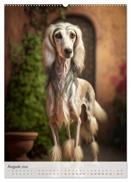 Produktbild: Persischer Windhund (Wandkalender 2026 DIN A2 hoch), CALVENDO Monatskalender