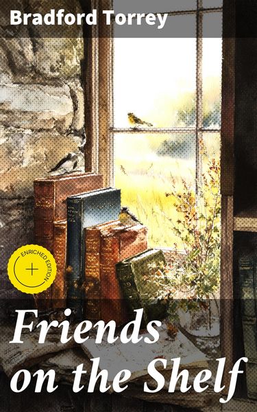Produktbild: Friends on the Shelf