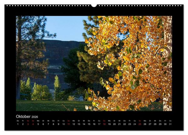 Produktbild: W&auml;lder, fotografiert auf vier Kontinenten (hochwertiger Premium Wandkalender 2026 DIN A2 quer), Kunstdruck in Hochglanz