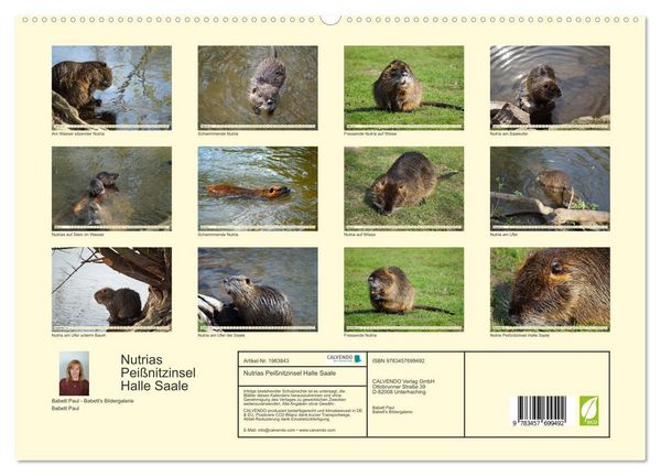 Produktbild: Nutrias Pei&szlig;nitzinsel Halle Saale (hochwertiger Premium Wandkalender 2026 DIN A2 quer), Kunstdruck in Hochglanz
