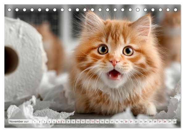 Produktbild: Katzen - Jeder Moment ein Abenteuer (Tischkalender 2027 DIN A5 quer), CALVENDO Monatskalender
