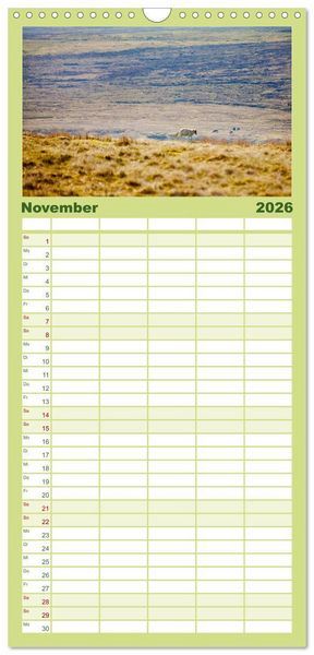 Produktbild: Familienplaner 2026 - Unter Schafen - Wegbegleiter auf Reisen mit 5 Spalten (Wandkalender, 21 x 45 cm) CALVENDO
