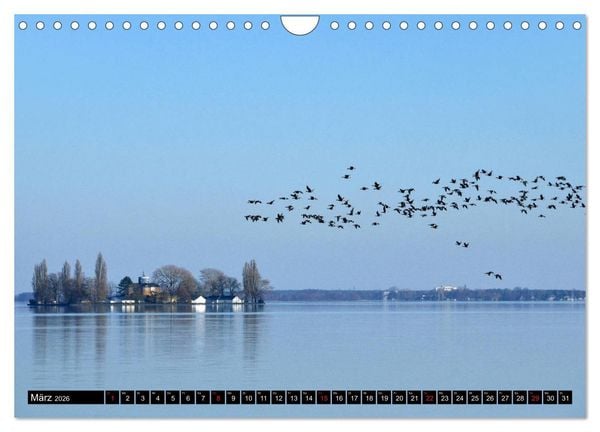Produktbild: Steinhuder Meer, Momentaufnahmen von Christine Bienert (Wandkalender 2026 DIN A4 quer), CALVENDO Monatskalender