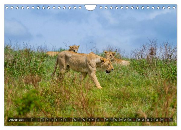 Produktbild: Abenteuer Tansania, Afrika (Wandkalender 2026 DIN A4 quer), CALVENDO Monatskalender