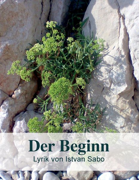 Produktbild: Der Beginn
