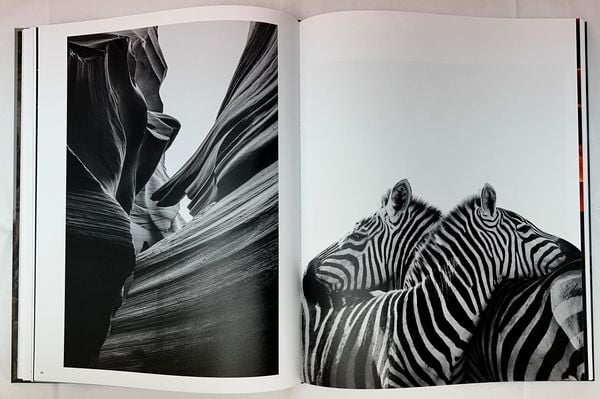 Produktbild: Mital Patel - States of Nature