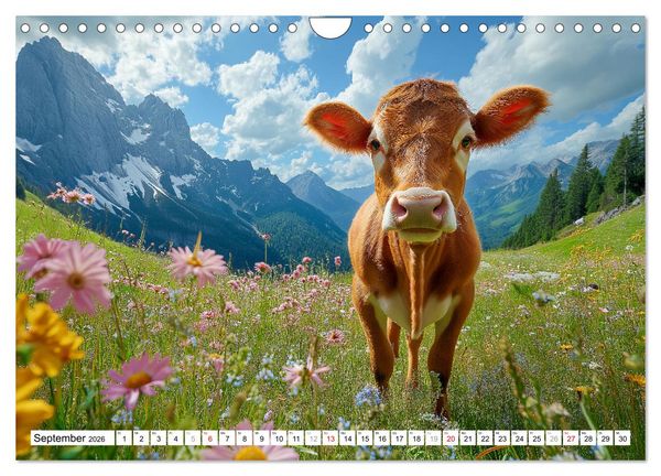 Produktbild: K&Uuml;HE AUF DER ALM &ndash; Der Kalender aus Bayern (Wandkalender 2026 DIN A4 quer), CALVENDO Monatskalender