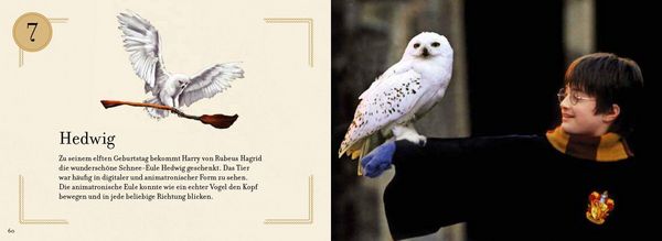 Produktbild: Aus den Filmen zu Harry Potter: Weihnachten in Hogwarts: Das gro&szlig;e Adventskalenderbuch