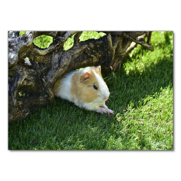 Produktbild: Lais Puzzle Meerschweinchen 500 Teile