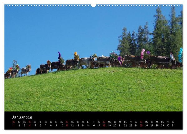 Produktbild: Almabtrieb in Tirol (hochwertiger Premium Wandkalender 2026 DIN A2 quer), Kunstdruck in Hochglanz