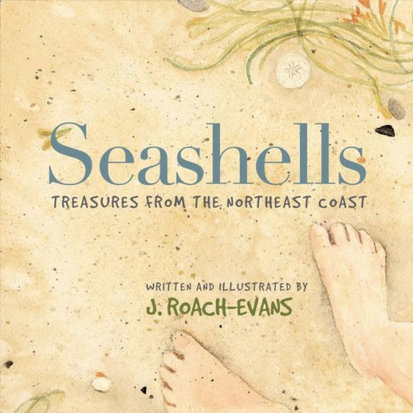 Produktbild: Seashells