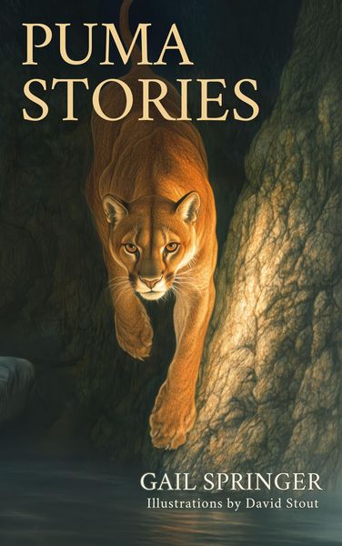 Produktbild: Puma Stories