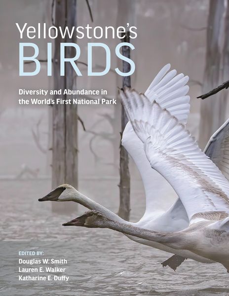 Produktbild: Yellowstone's Birds