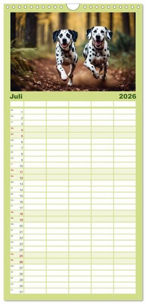 Produktbild: Familienplaner 2026 - Dalmatiner - freundliche Temperamentsbolzen mit 5 Spalten (Wandkalender, 21 x 45 cm) CALVENDO