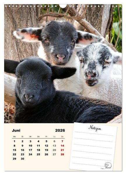 Produktbild: L&auml;mmergl&uuml;ck (Wandkalender 2026 DIN A3 hoch), CALVENDO Monatskalender