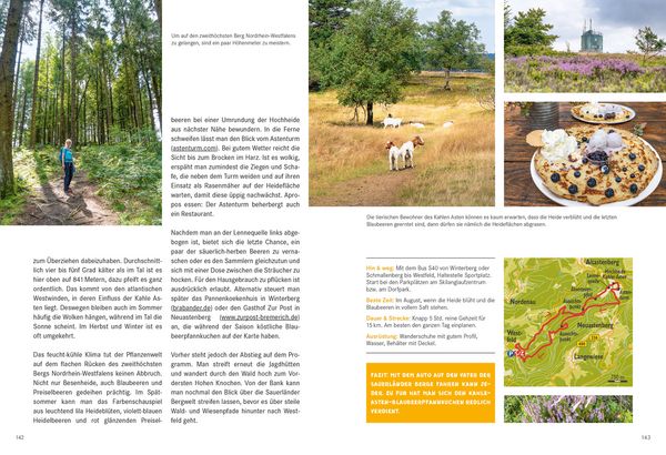 Produktbild: 52 kleine & gro&szlig;e Eskapaden Rothaargebirge und Sauerland