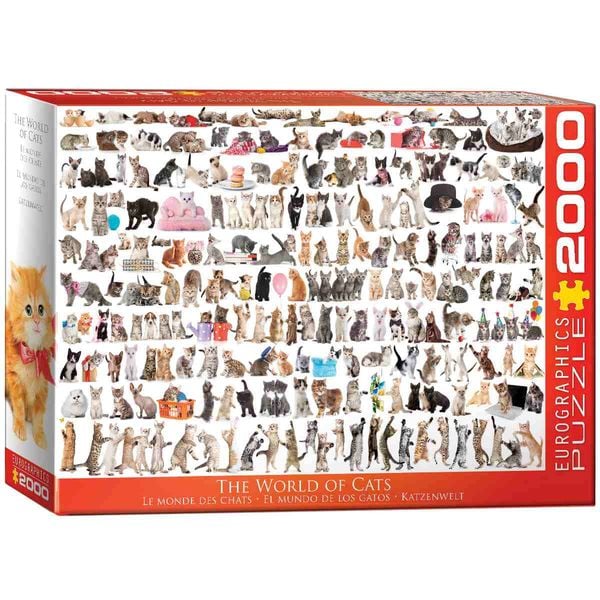 Welt der Katzen