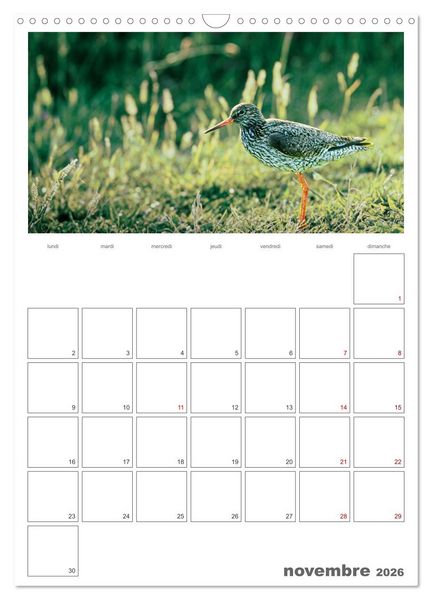 Produktbild: Notre nature sauvage, oiseaux aquatiques d'Europe (Calendrier mural 2026 DIN A3 horizontal), CALVENDO calendrier mensuel
