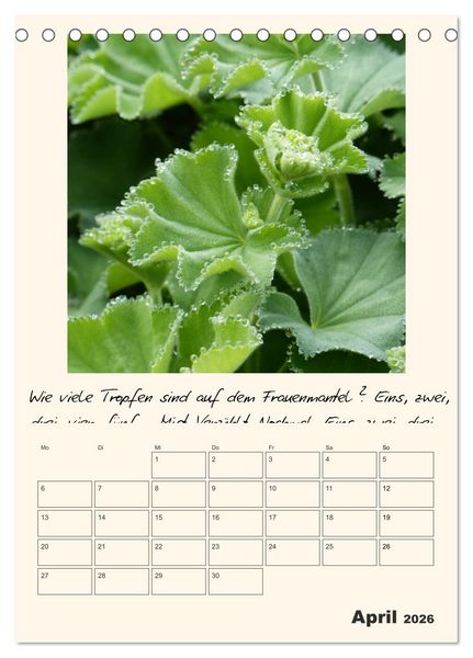 Produktbild: Gartengeschichten (Tischkalender 2026 DIN A5 hoch), CALVENDO Monatskalender