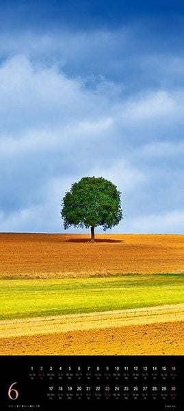 Produktbild: Trees 2024