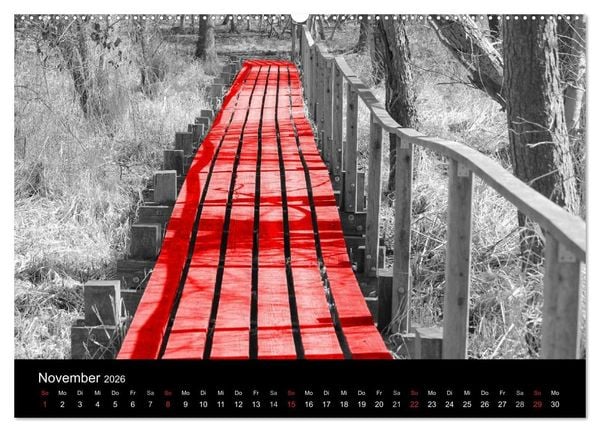 Produktbild: Blickfang in Rot (Wandkalender 2026 DIN A2 quer), CALVENDO Monatskalender
