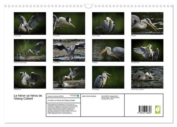 Produktbild: Le h&eacute;ron ce h&eacute;ros de l'&eacute;tang Colbert (Calendrier mural 2026 DIN A3 vertical), CALVENDO calendrier mensuel