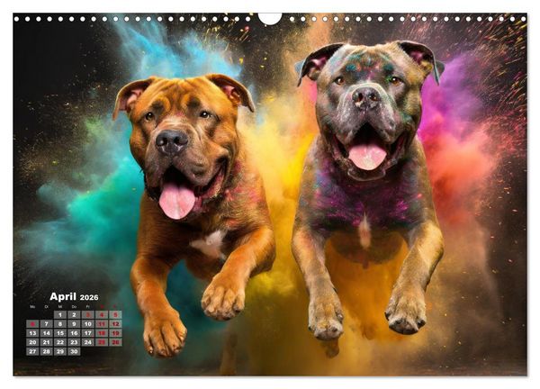 Produktbild: Holi Pulver - Doppelte Action (Wandkalender 2026 DIN A3 quer), CALVENDO Monatskalender