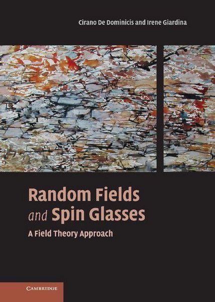Produktbild: Random Fields and Spin Glasses