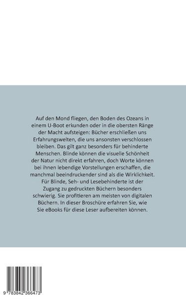 Produktbild: Barrierefreie eBooks