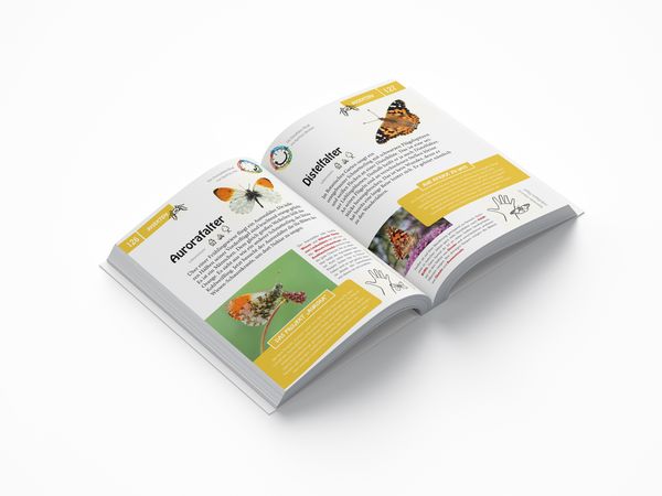Produktbild: Ahorn, Rotfuchs & Zitronenfalter
