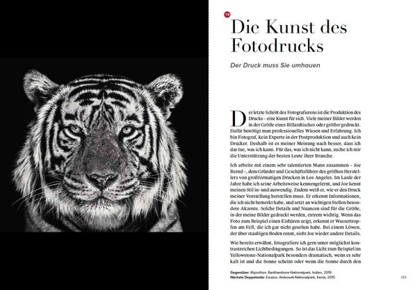 Produktbild: Wie ich Fotos mache