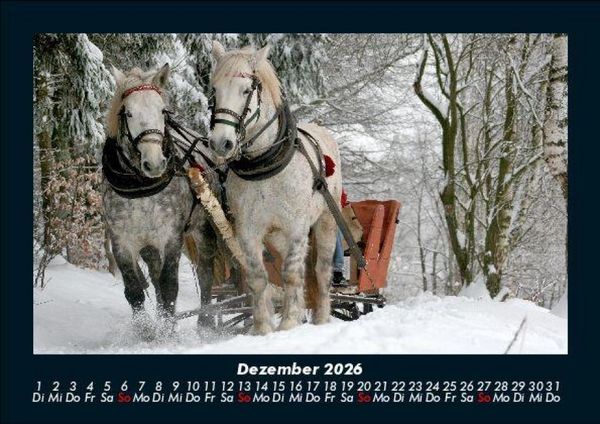 Produktbild: Die Welt der Pferde 2026 Fotokalender DIN A5