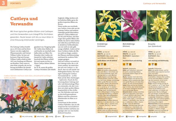 Produktbild: Orchideen pflegen