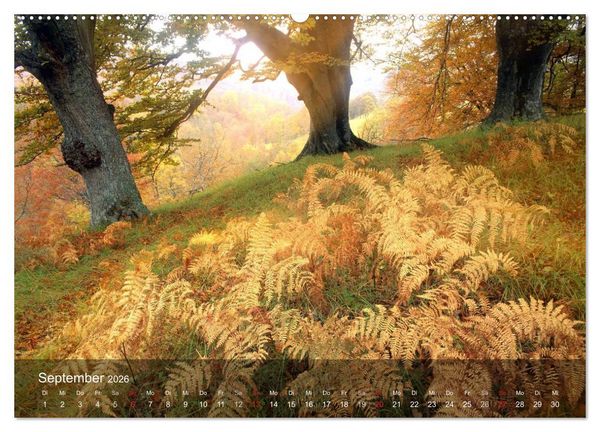 Produktbild: Nur ein Augenblick (Wandkalender 2026 DIN A2 quer), CALVENDO Monatskalender