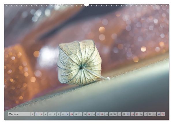 Produktbild: Kunstvolle Physalis-Kleine Frucht von gro&szlig;er Faszination (hochwertiger Premium Wandkalender 2026 DIN A2 quer), Kunstdruck in Hochglanz