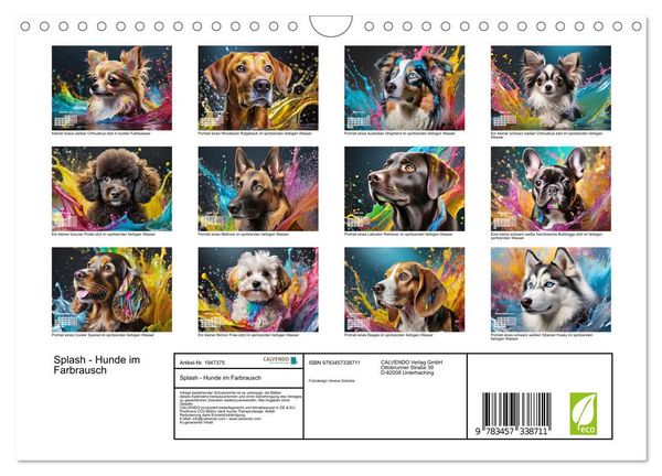 Produktbild: Splash - Hunde im Farbrausch (Wandkalender 2026 DIN A4 quer), CALVENDO Monatskalender