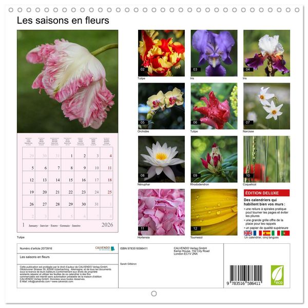 Produktbild: Les saisons en fleurs (Calendrier mural carr&eacute; 2026 30x30 cm) Calendrier double avec une page pour vos prises de notes