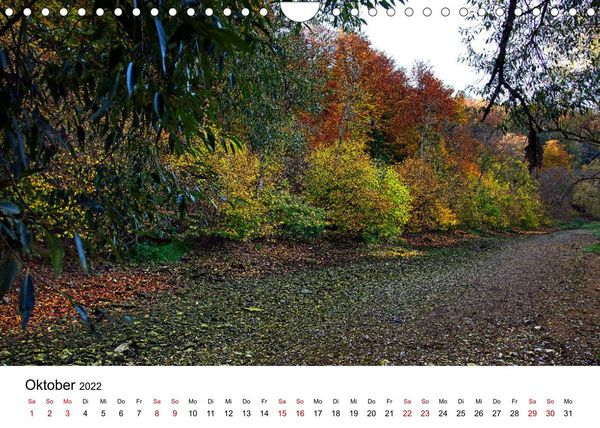 Produktbild: NATURPARK OBERE DONAU (Wandkalender 2022 DIN A4 quer)