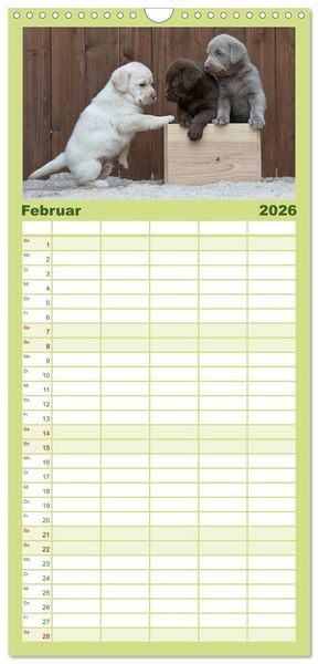 Produktbild: Familienplaner 2026 - Labrador Welpen mit 5 Spalten (Wandkalender, 21 x 45 cm) CALVENDO